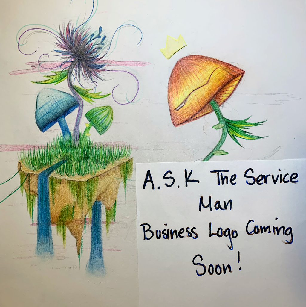 A.S.K. The Service Man | 3900 Business Center Dr, Fairfield, CA 94534, USA | Phone: (707) 580-9938