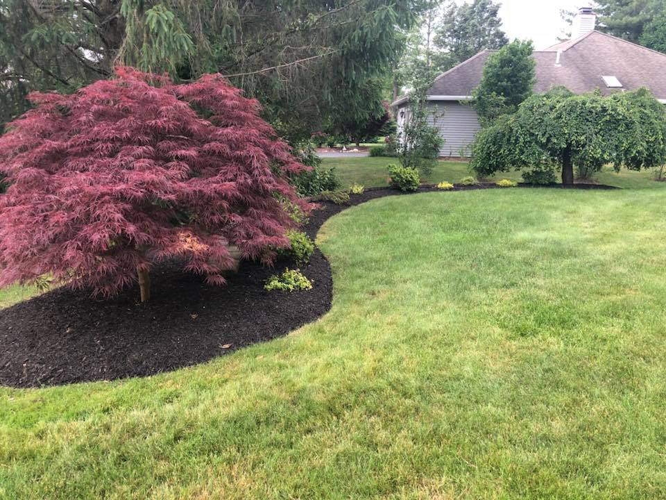 NVS Landscape Services | 134 Lincoln Ave Ste 304, Colonie, NY 12205, USA | Phone: (518) 869-5296