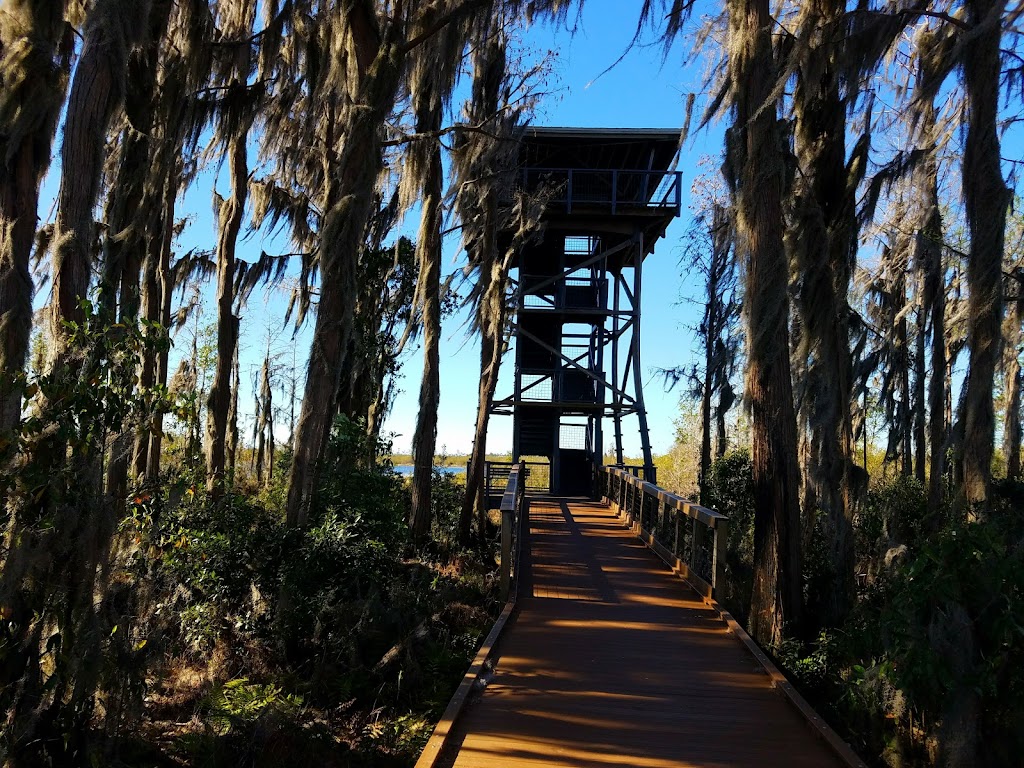 Okefenokee National Wildlife Refuge | 4155 Suwannee Canal Road, Folkston, GA 31537, USA | Phone: (912) 496-7836