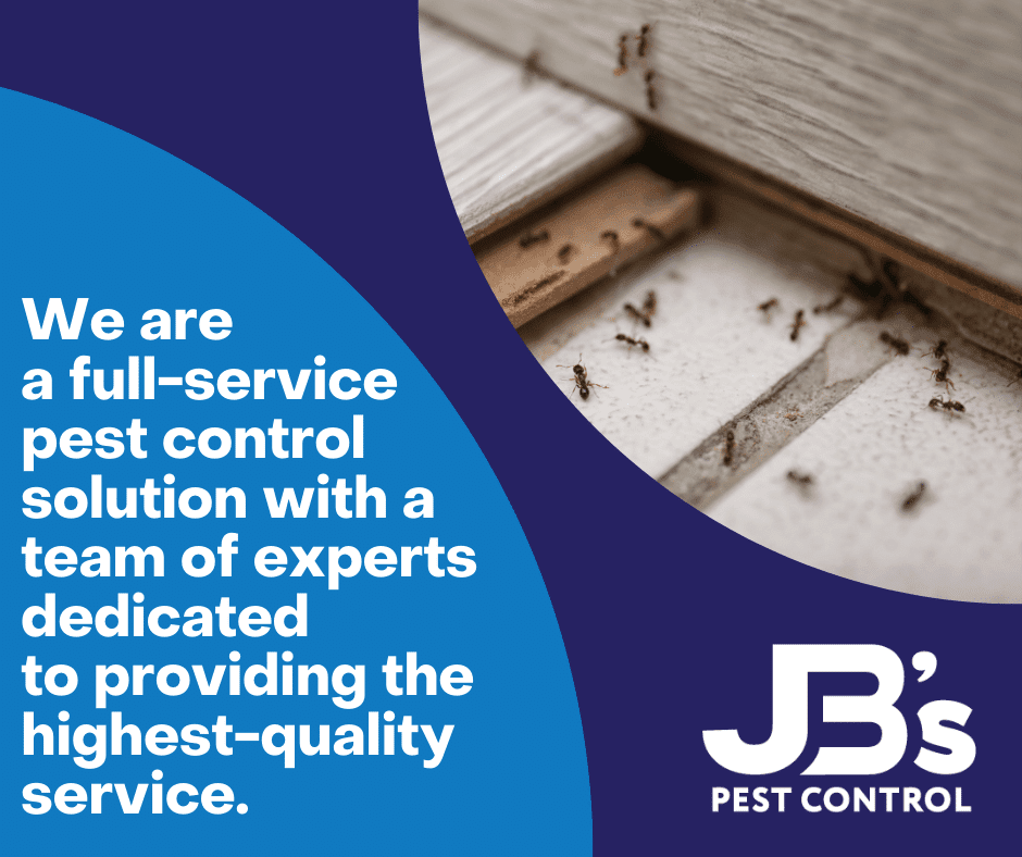 JBs Pest Control | 22740 E Camacho Rd, Queen Creek, AZ 85142, USA | Phone: (480) 725-2101