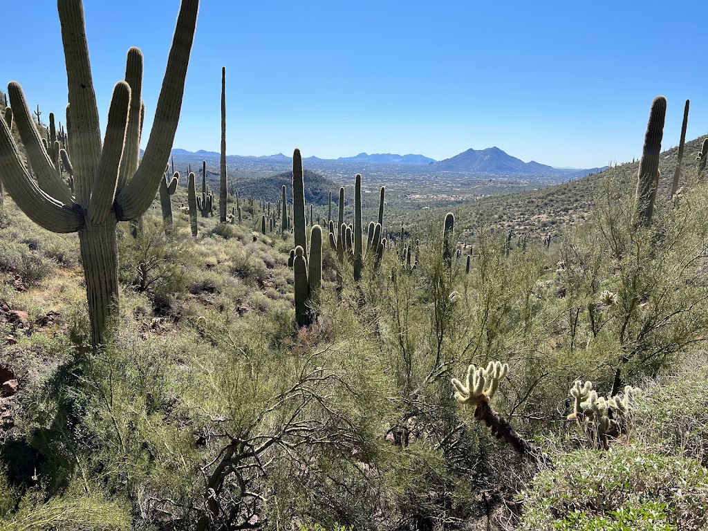 Spur Cross Ranch Conservation | 44000 N Spur Cross Rd, Cave Creek, AZ 85331 | Phone: (602) 506-2930