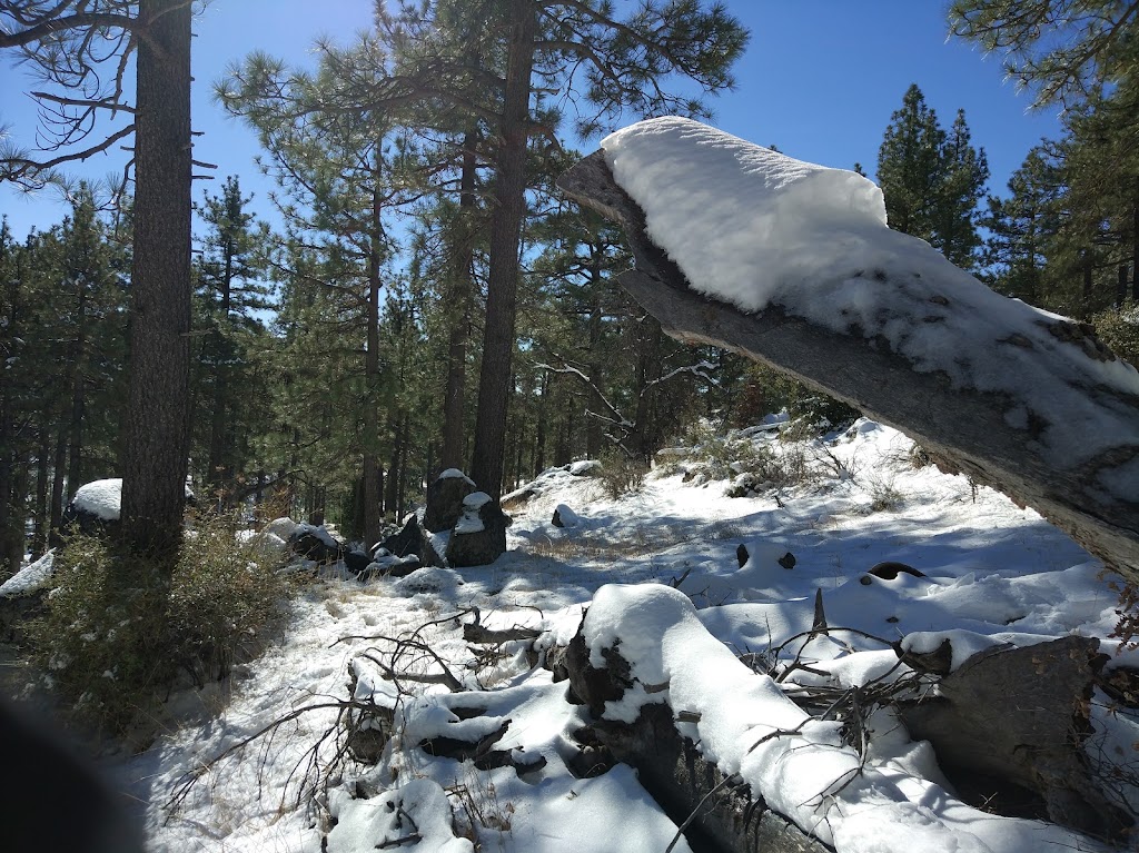 Meadows Information Kiosk Trailhead | Mt Laguna, CA 91948, USA | Phone: (858) 673-6180