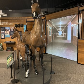 American Saddlebred Museum | 4083 Wing Commander Way Suite 150, Lexington, KY 40511, USA | Phone: (859) 259-2746