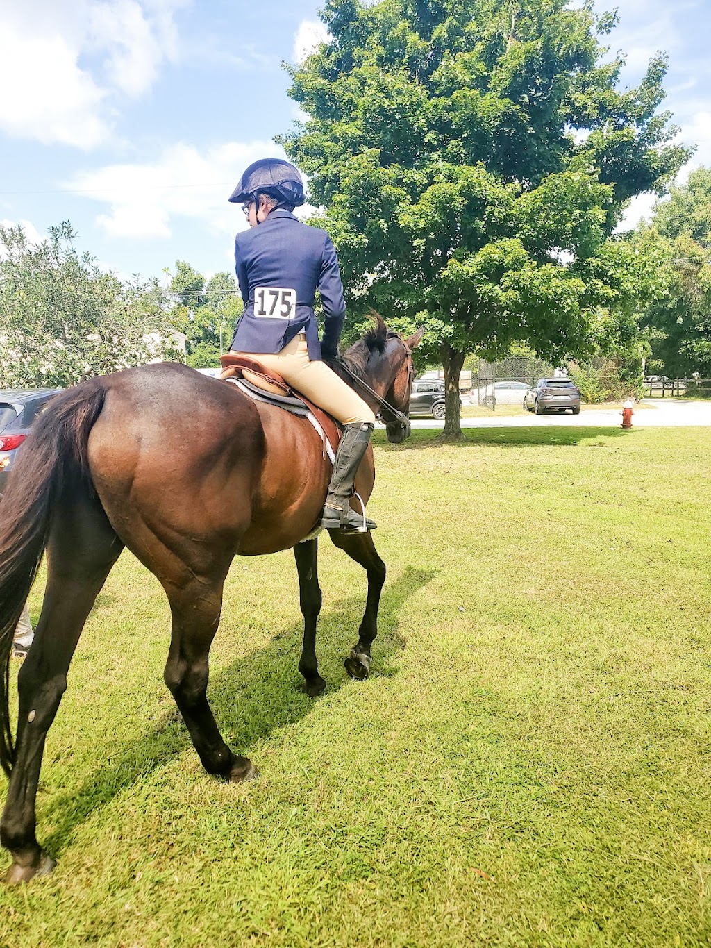 Topline Horse Center - Sunday