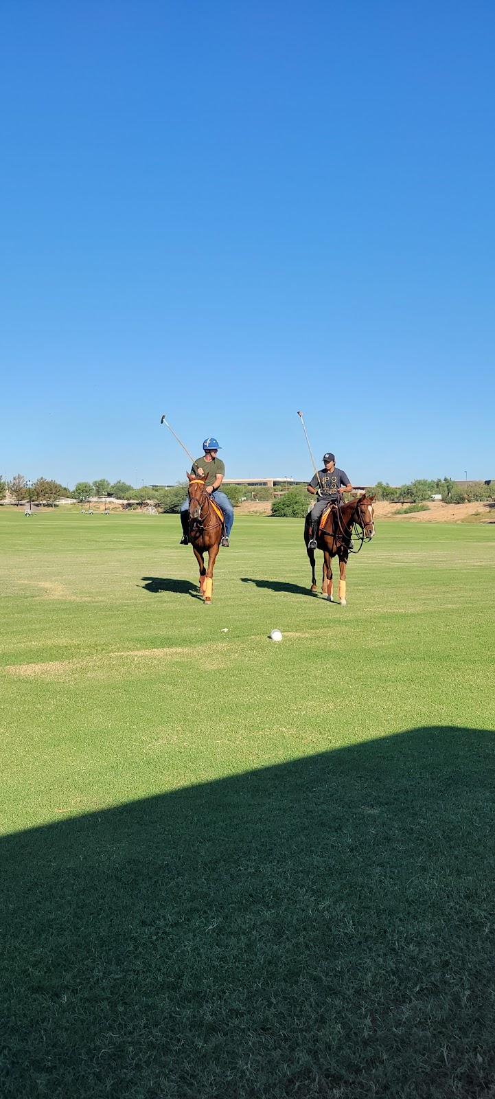 Arizona Polo Club | 29865 W Marsh Rd, Casa Grande, AZ 85193, USA | Phone: (480) 201-4530