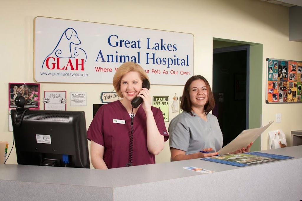 Great Lakes Animal Hospital | 40140 Hayes Rd, Clinton Twp, MI 48038, USA | Phone: (586) 416-8888