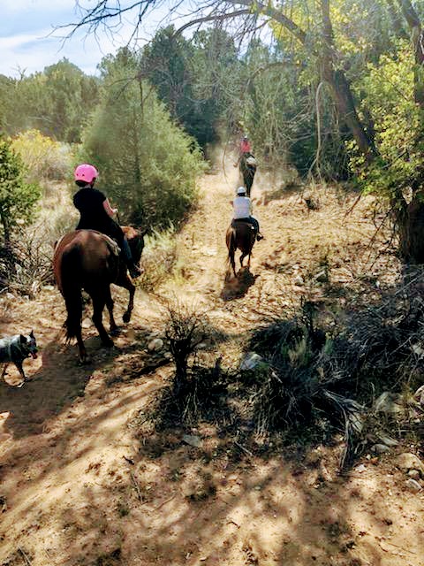 Turquoise Trail Pleasure Riding | 1511 NM-14, Golden, NM 87047 | Phone: (505) 280-1319