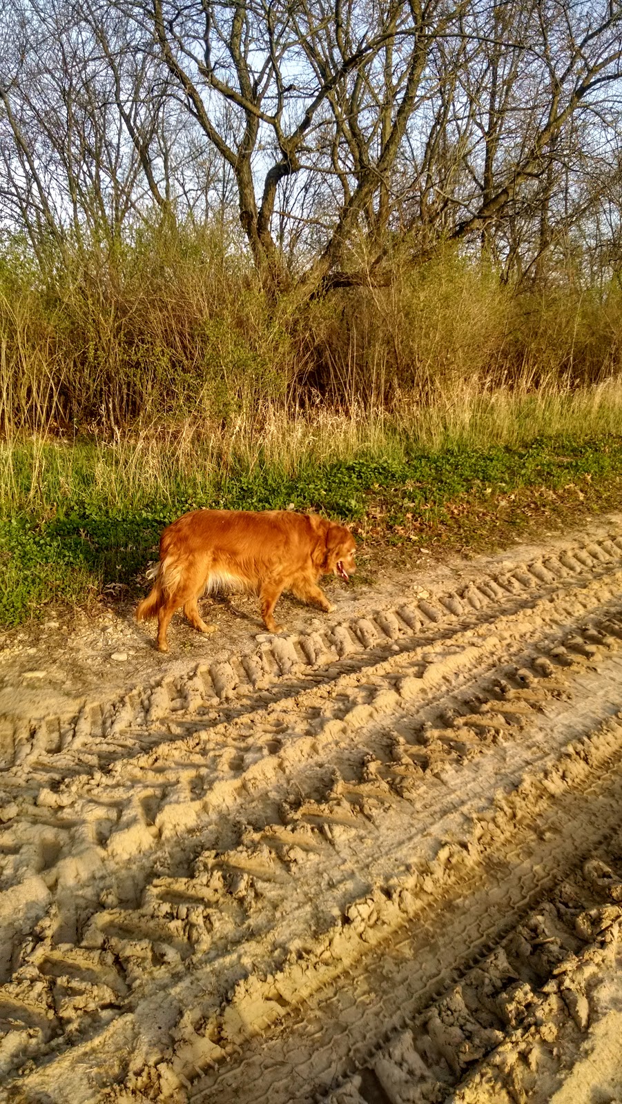 Sugar River Wildlife Area Basco Unit | 1065 WI-69, Belleville, WI 53508, USA | Phone: (608) 224-3730