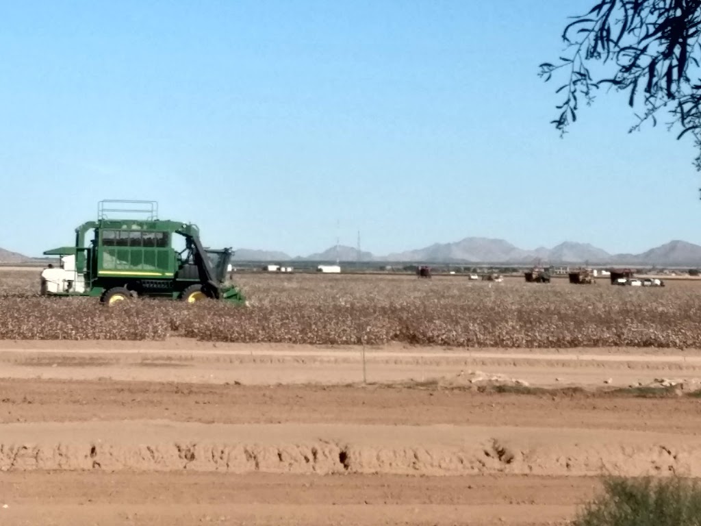 University of Arizona Maricopa Agricultural Center | 37860 W Smith Enke Rd, Maricopa, AZ 85138, USA | Phone: (520) 374-6380