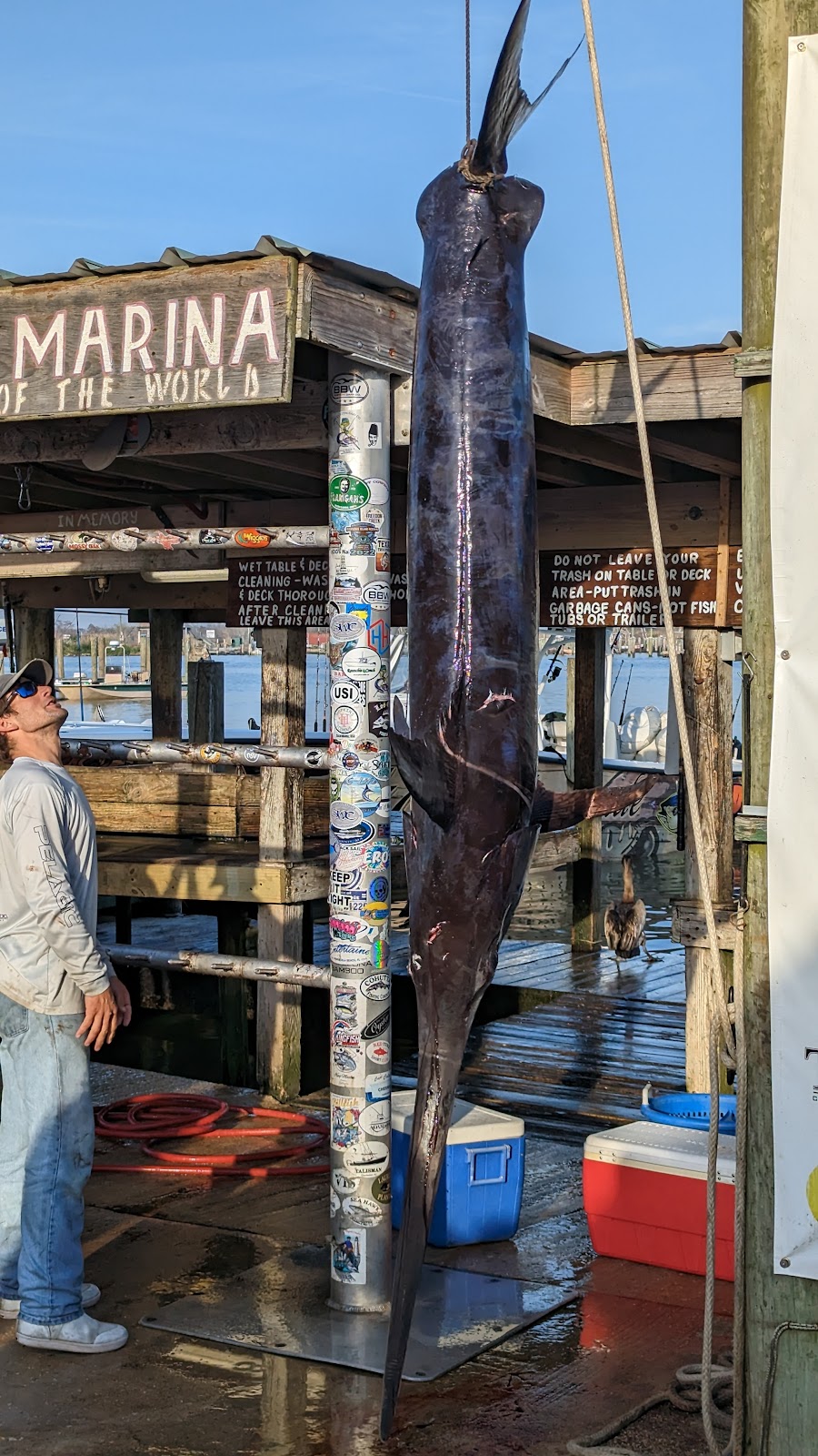REEL Therapy Houseboat Rentals | 237 Sports Marina Rd, Venice, LA 70091, USA | Phone: (910) 975-0177
