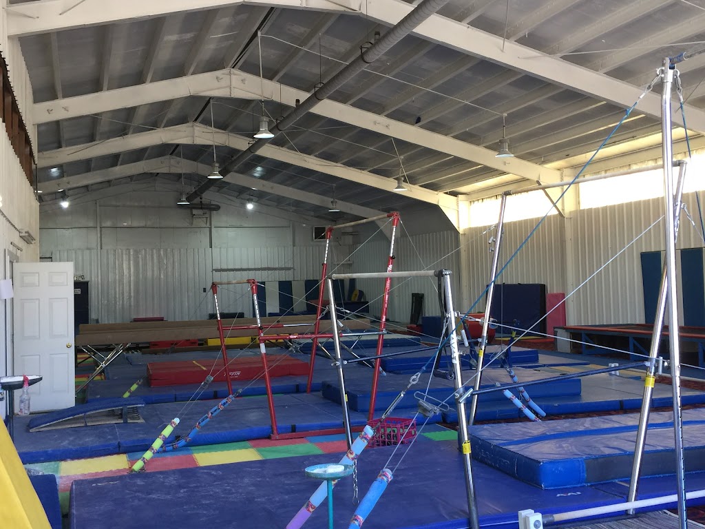 MV Gymnastics | 4049 PA-51, Belle Vernon, PA 15012, USA | Phone: (724) 929-3919