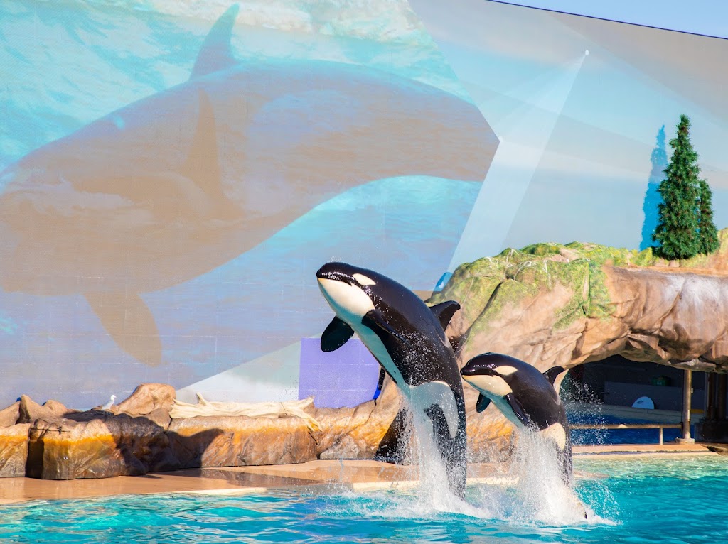 SeaWorld San Diego | 500 Sea World Dr., San Diego, CA 92109, USA | Phone: (619) 222-4732