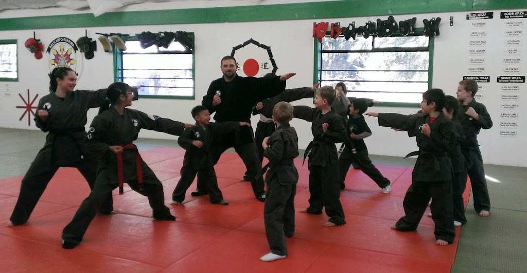 Great Northwest Martial Arts Academy | 22415 SE 231st St, Maple Valley, WA 98038, USA | Phone: (206) 604-0592