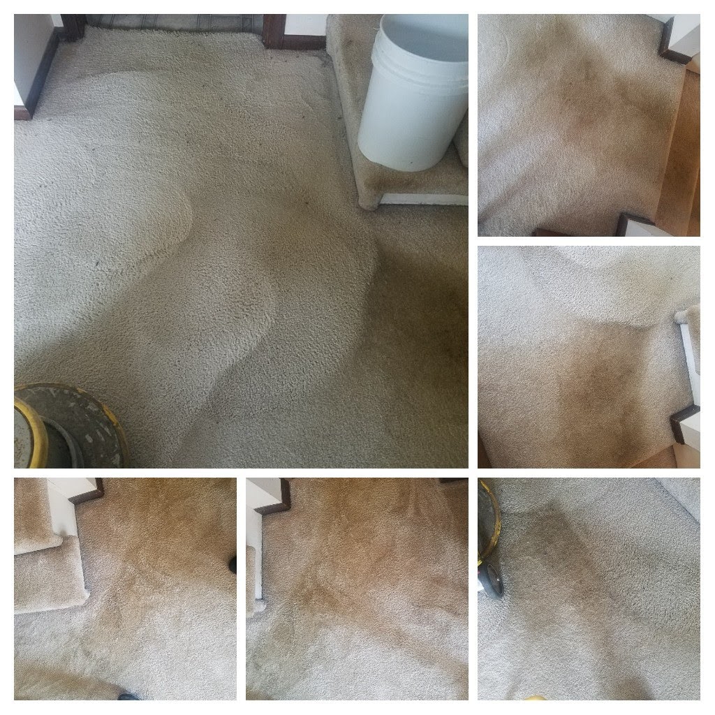 Joey Arebalos Cleaning Service | 5238 W Mulberry Ln, Monee, IL 60449, USA | Phone: (708) 362-2011