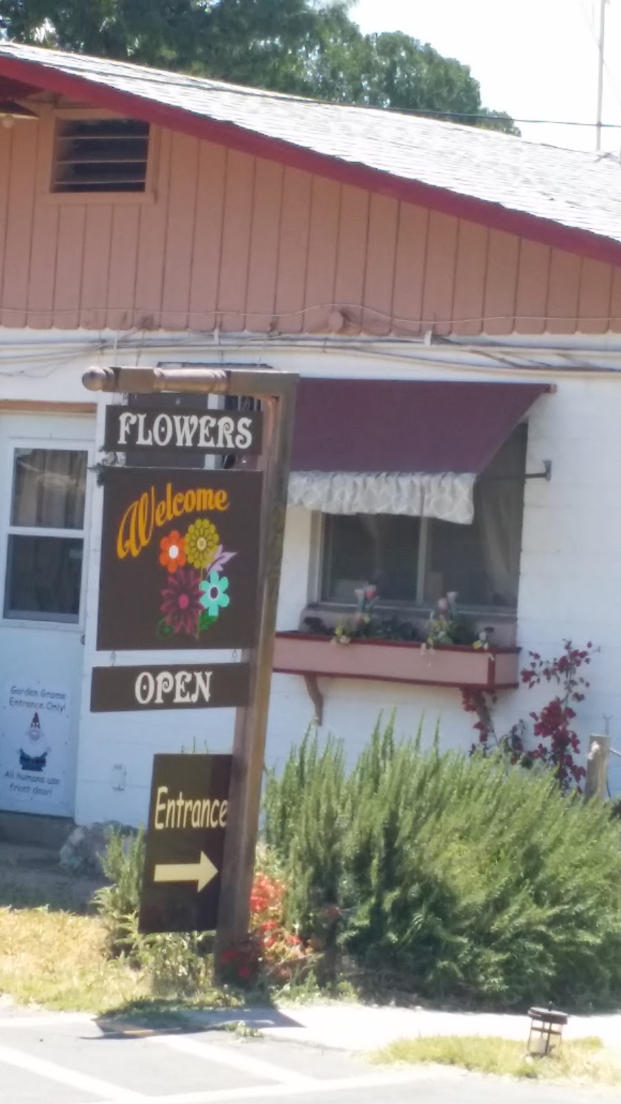 Lighthouse Flower Shop | 1007 E Southern Ave, Mesa, AZ 85204, USA | Phone: (480) 892-5093