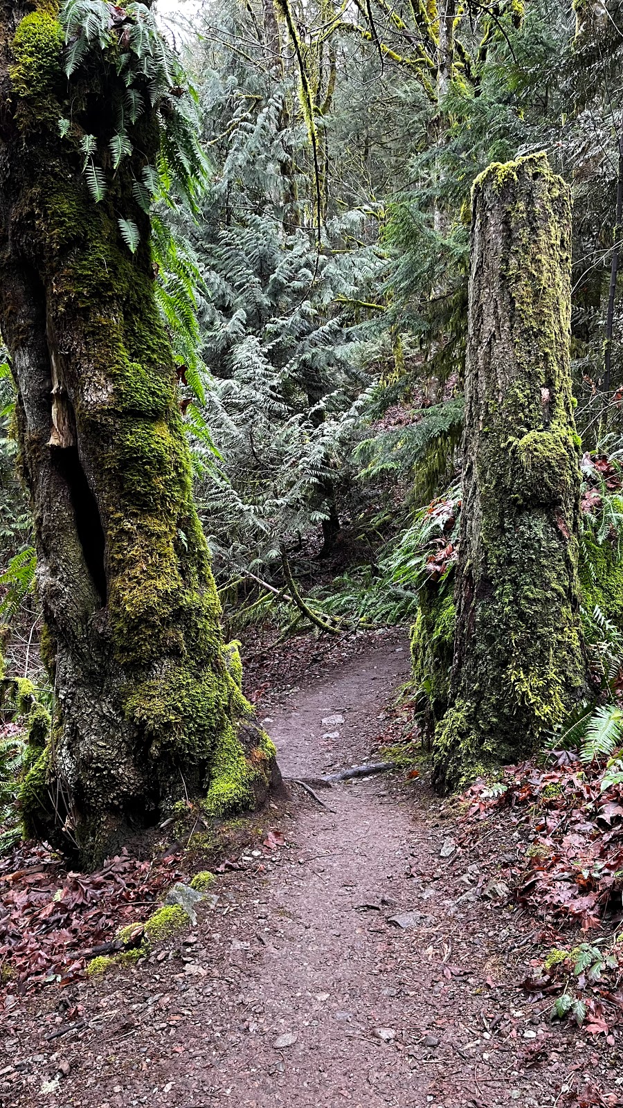 Margarets Way Trailhead | 190th Ave SE, Issaquah, WA 98027, USA | Phone: (206) 477-4527