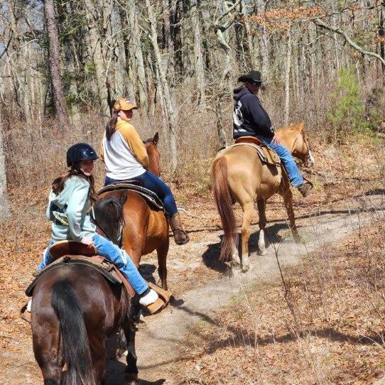 RIDIN HIGH Horseback riding | 815 E Veterans Hwy, Jackson Township, NJ 08527, USA | Phone: (732) 547-2142
