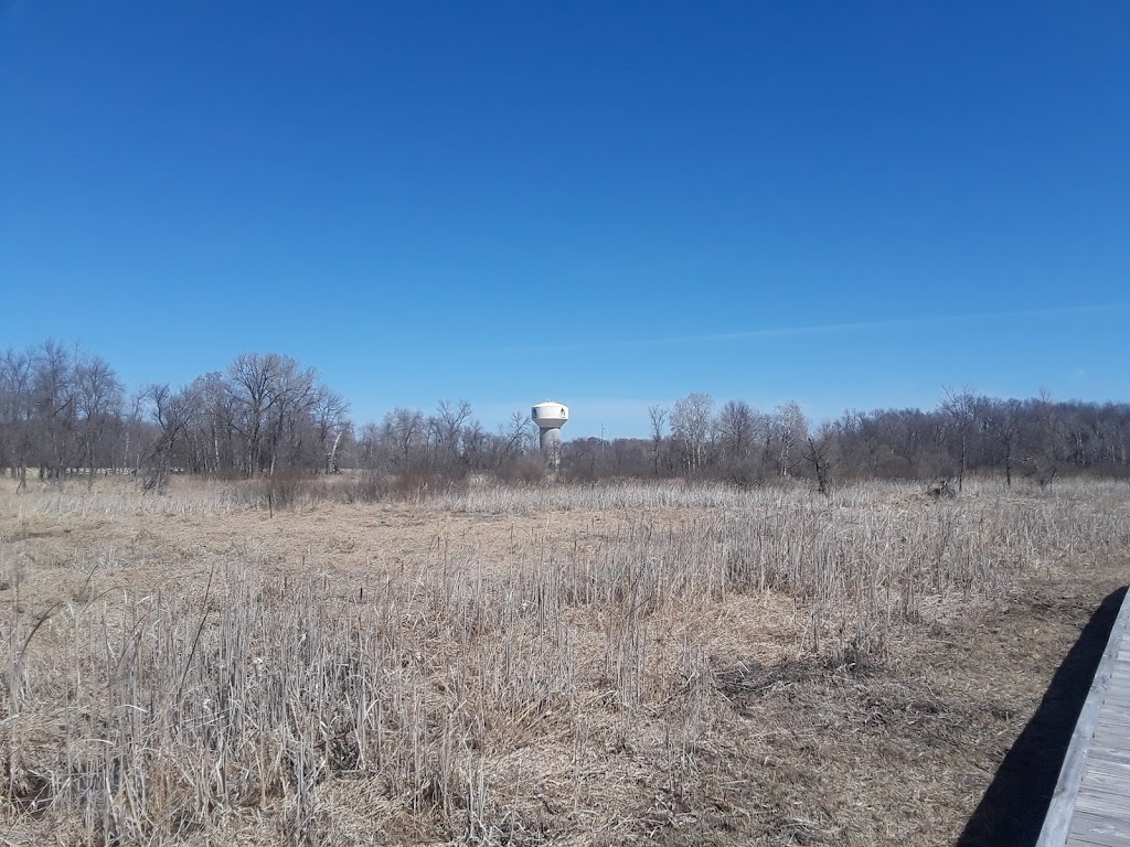 Blaine Wetland Sanctuary | 11980 Lexington Ave NE, Blaine, MN 55449, USA | Phone: (763) 785-6164