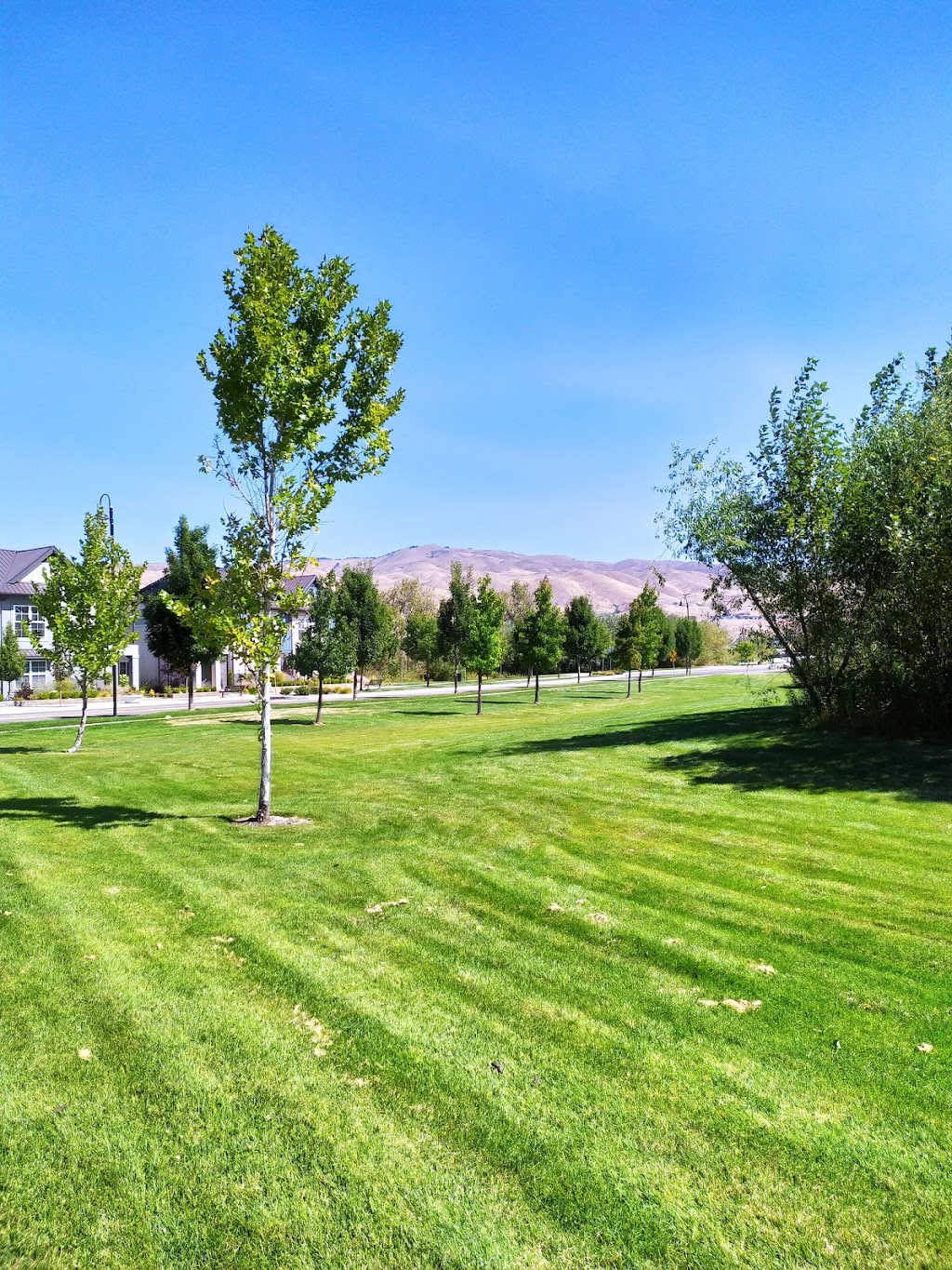 Marianne Williams Park | 3451 E Barber Valley Dr, Boise, ID 83706 | Phone: (208) 608-7600