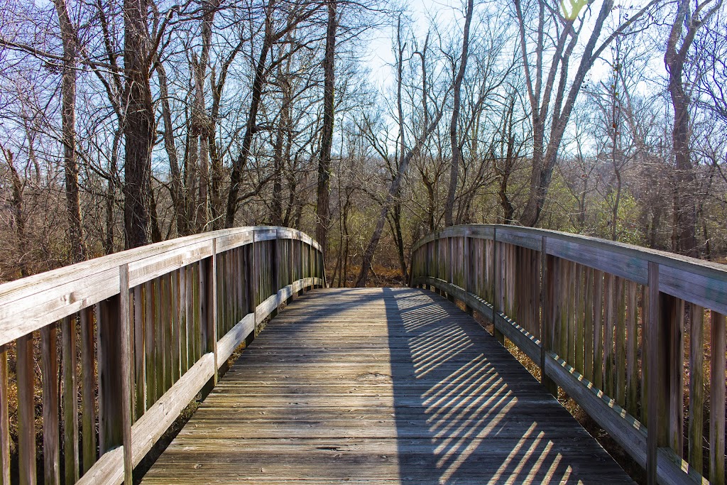 Mill Creek Nature Center | 2355 Mall of Georgia Blvd, Buford, GA 30519, USA | Phone: (770) 787-7887