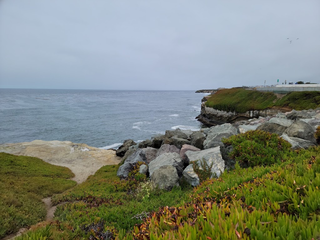 Natural Bridges State Beach | 2531 W Cliff Dr, Santa Cruz, CA 95060, USA | Phone: (831) 423-4609 Natural Bridges State Beach | 2531 W Cliff Dr, Santa Cruz, CA 95060, USA | Phone: (831) 423-4609