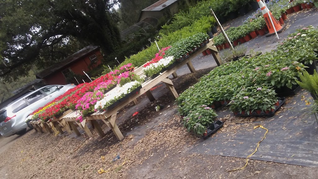 Williams Plant Nursery | 12411 Philips Hwy, Jacksonville, FL 32256, USA | Phone: (904) 292-0354