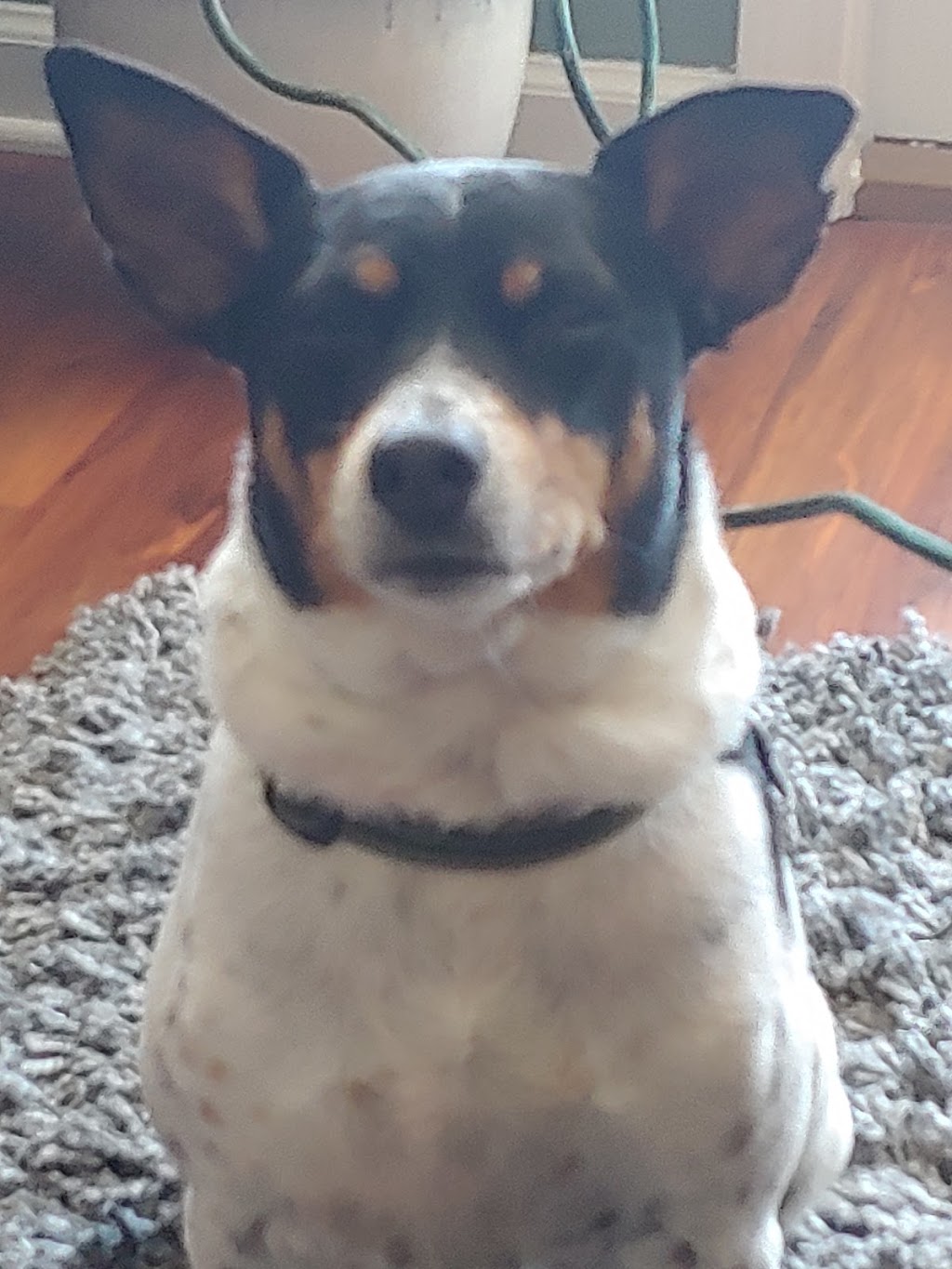 Stretch Zone | 266 Solana Rd, Ponte Vedra Beach, FL 32082, USA | Phone: (904) 834-6396