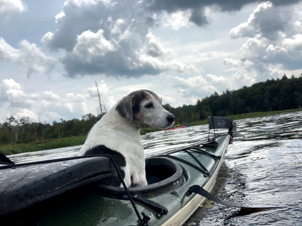 West Branch Sacandaga River Kayak Tours & Rentals | 140 NY-10 Suite A, Caroga Lake, NY 12032, USA | Phone: (760) 914-0234