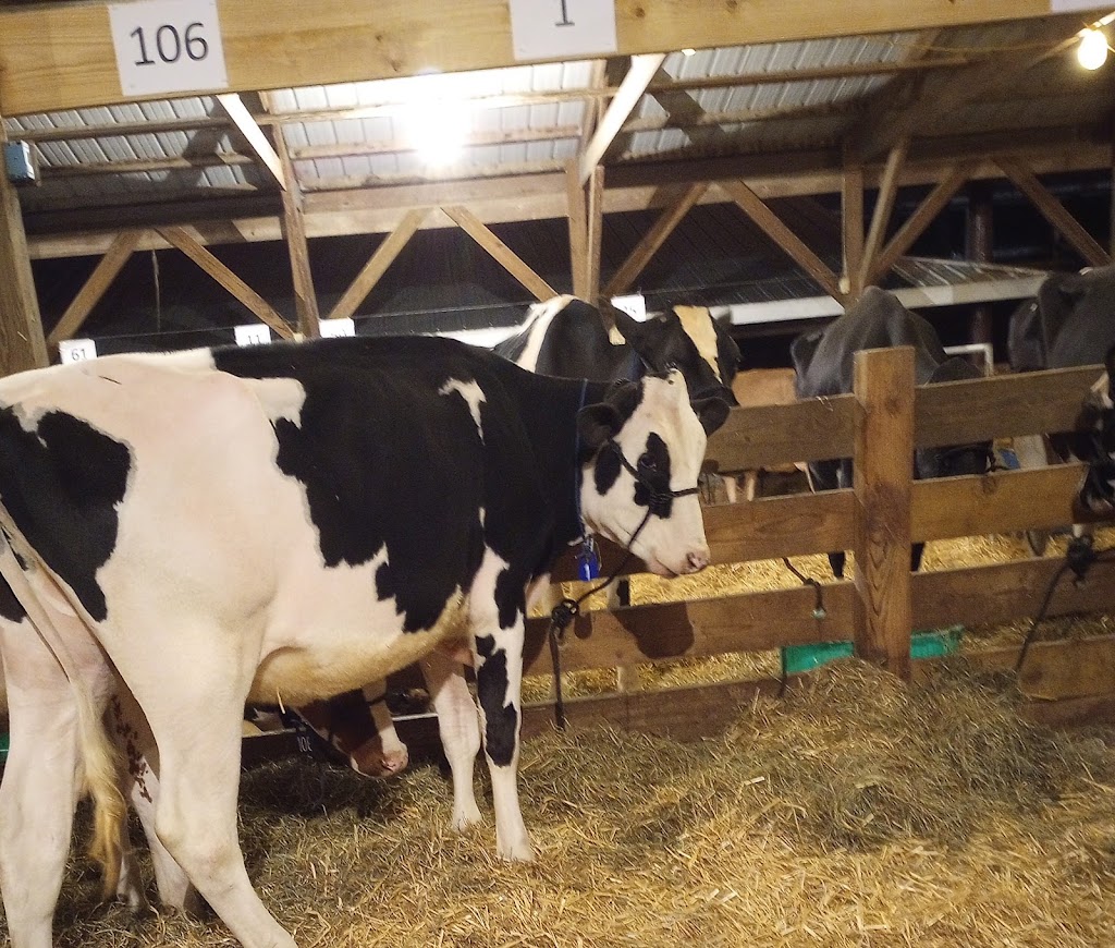 Madison County Fairgrounds | 2025 Park Hill Dr, Highland, IL 62249, USA | Phone: (618) 654-6656