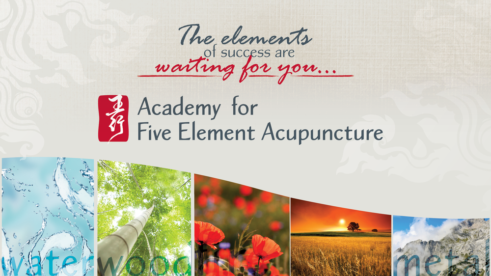 Academy for Five Element Acupuncture | 305 SE 2nd Ave, Gainesville, FL 32601 | Phone: (352) 335-2332