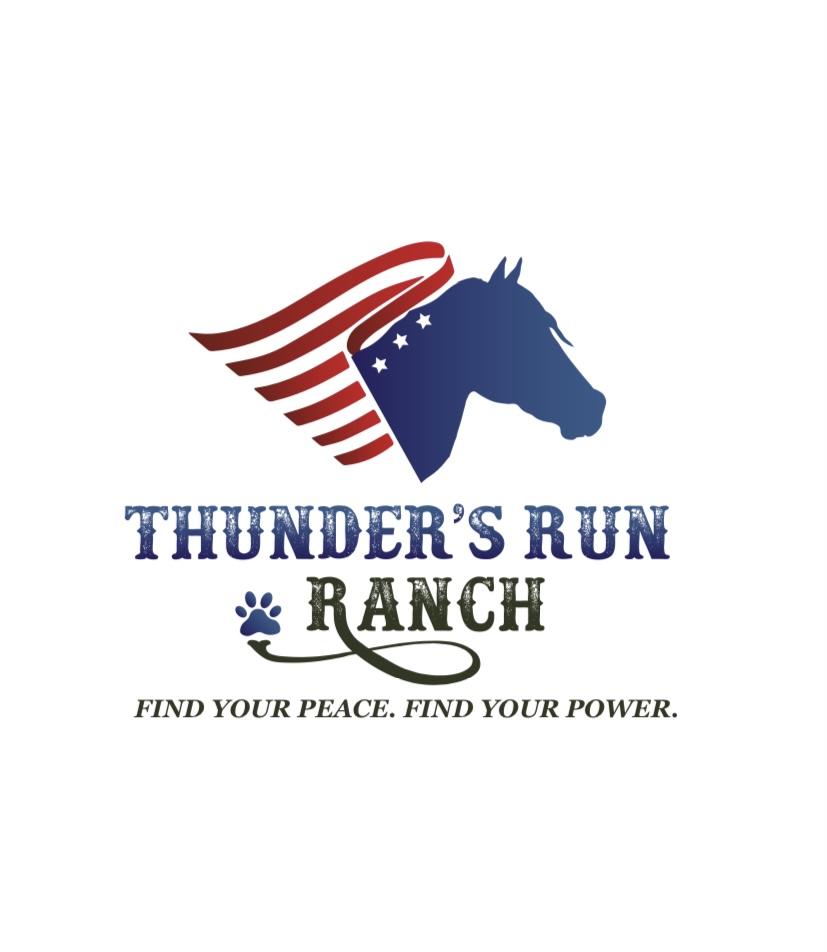 Thunders Run Ranch | Little Brown Church Rd, Pierson, FL 32180, USA | Phone: (904) 859-6415