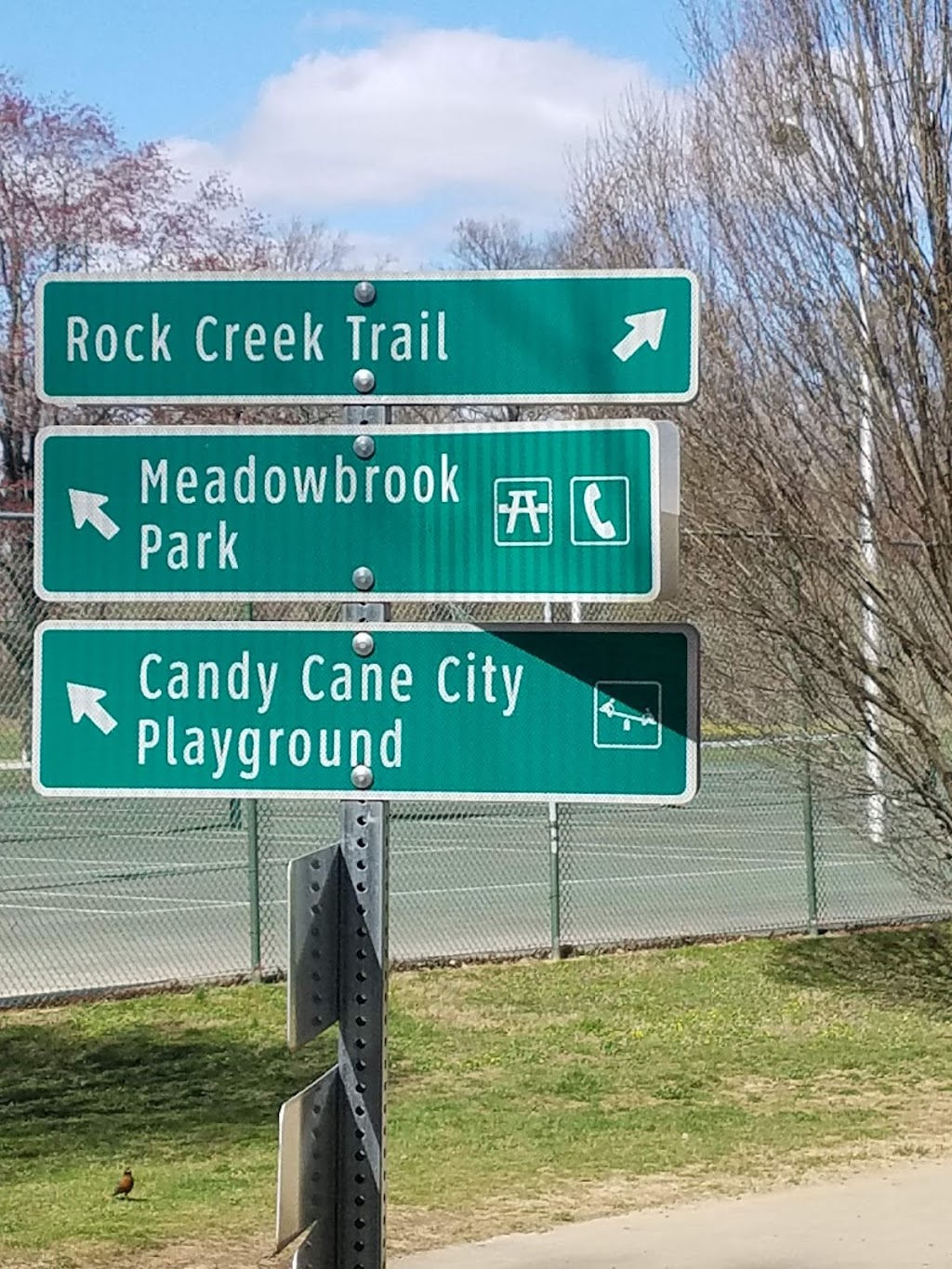 Meadowbrook Local Park | 7901 Meadowbrook Ln, Chevy Chase, MD 20815, USA | Phone: (301) 495-2595