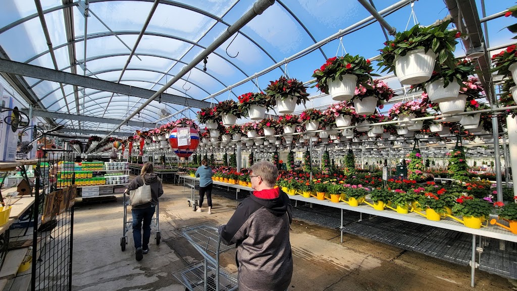 Schwartzs Greenhouse | 30705 Sibley Rd, Romulus, MI 48174, USA | Phone: (734) 753-9269