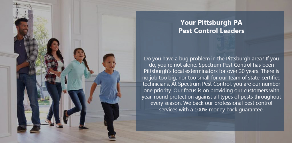 Spectrum Pest Control | 116 Avon Dr, Butler, PA 16001, USA | Phone: (724) 719-9244