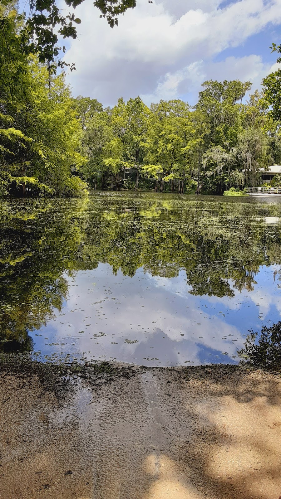 55+ Wynnhaven on the Withlacoochee LLC | 8271 W C 48, Bushnell, FL 33513, USA | Phone: (352) 793-4744