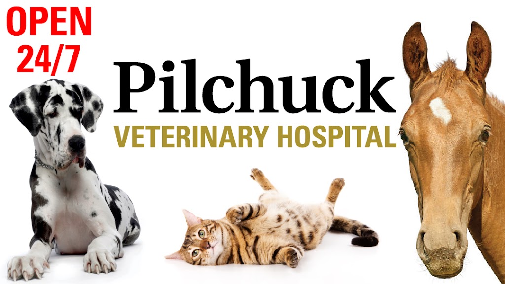 Pilchuck Veterinary Hospital | 11308 92nd St SE, Snohomish, WA 98290, USA | Phone: (360) 568-3113