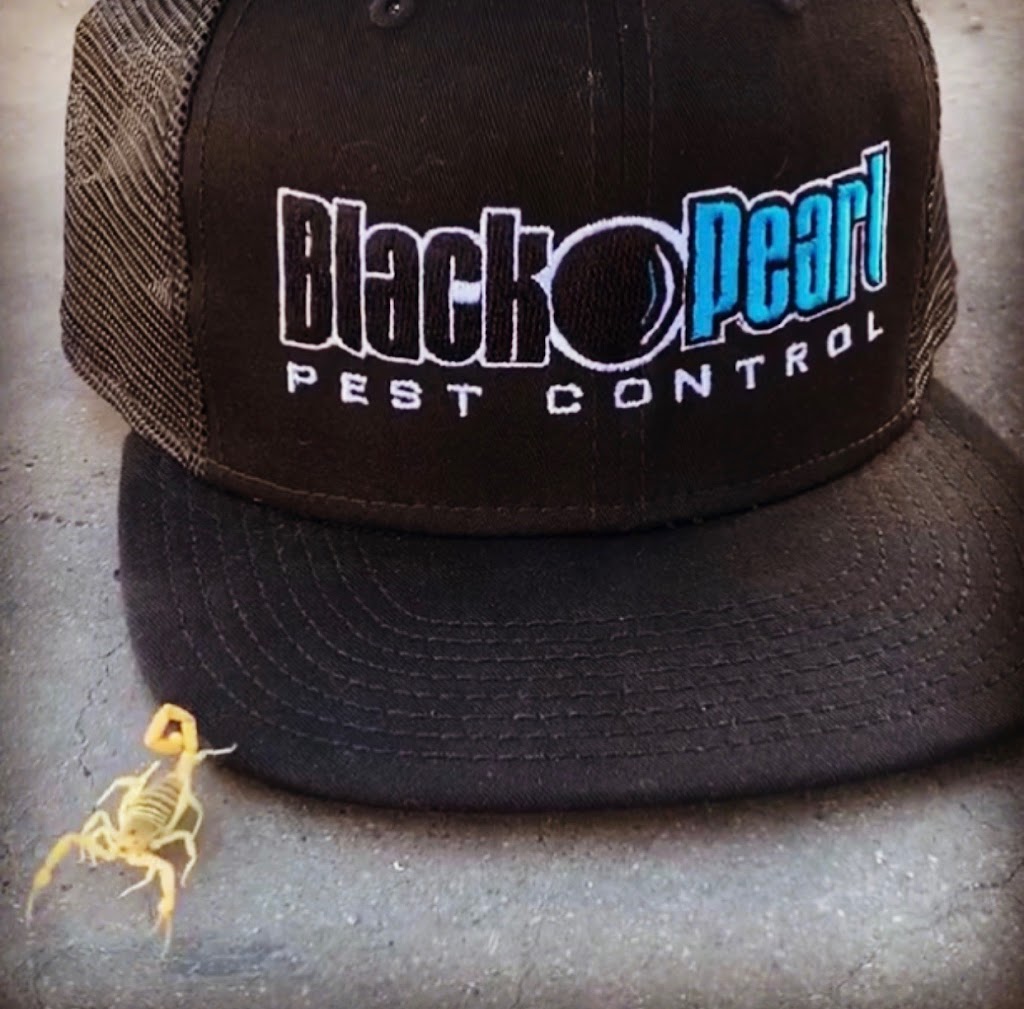 Black Pearl Pest Control | 22258 E Pickett Ct, Queen Creek, AZ 85142, USA | Phone: (480) 815-1032