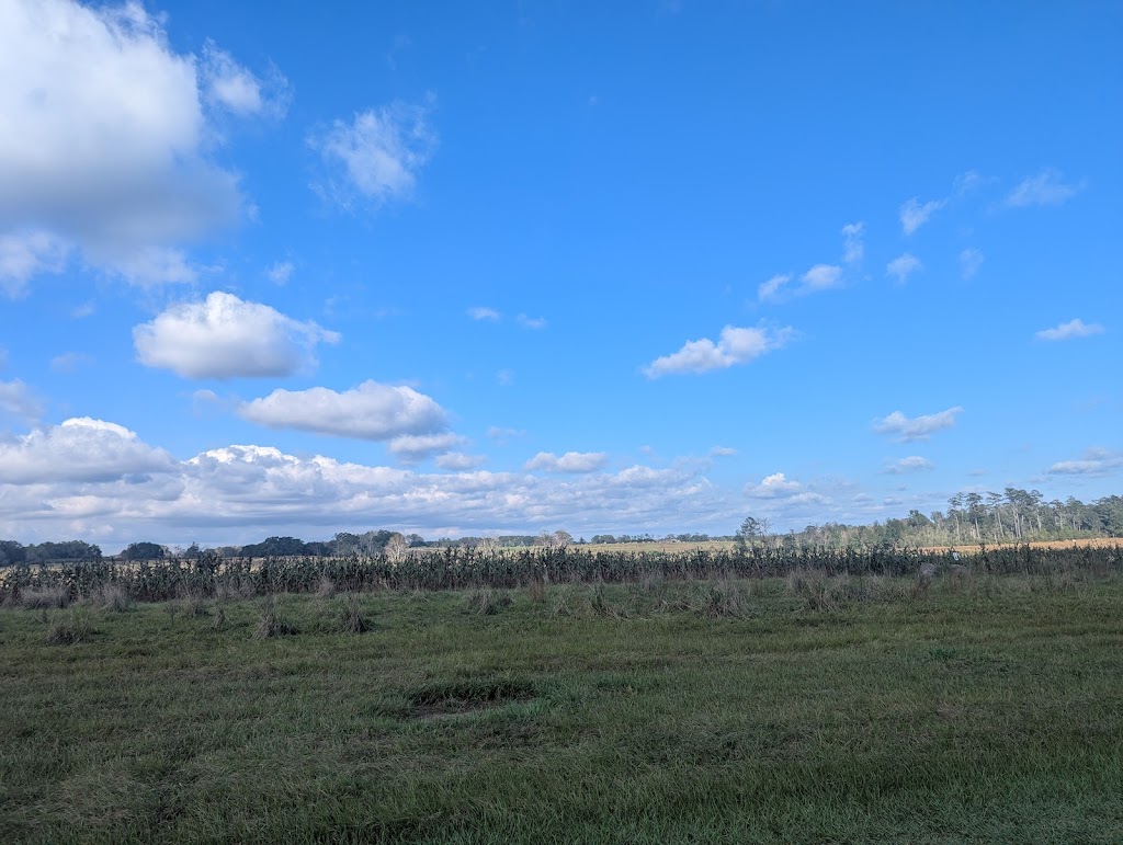 Covey Rise Lodge | 24009 Singing Waterfall Rd, Husser, LA 70442, USA | Phone: (985) 747-0310