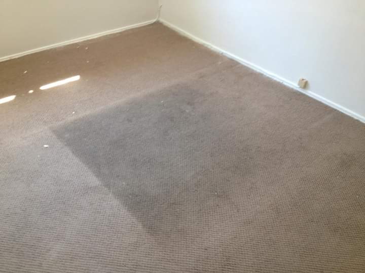 Vigils Carpet and cleaning services | 17000 Allthorn St, Hesperia, CA 92345, USA | Phone: (562) 296-7046