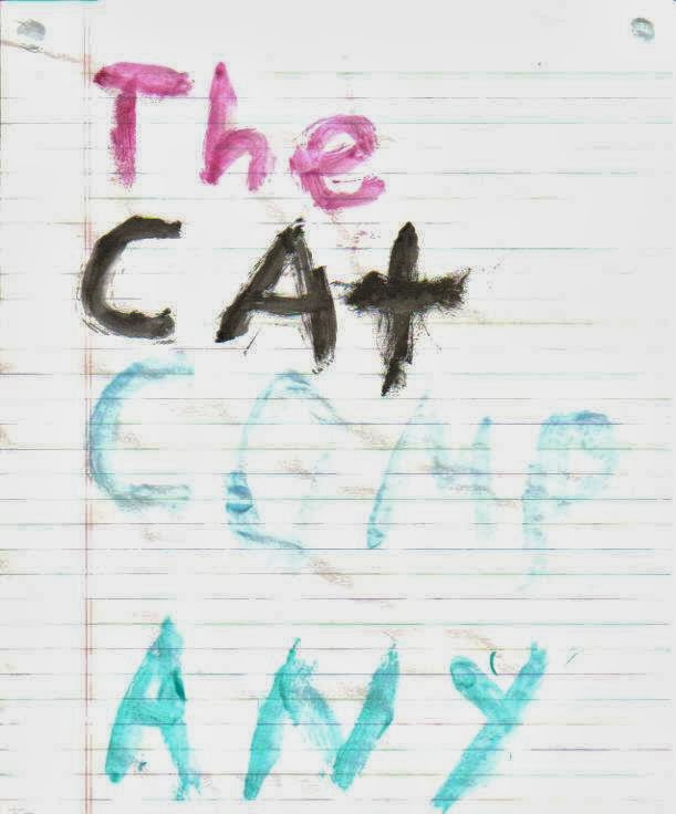 The Cat Company, Inc. | 1053 S Cleveland Massillon Rd, Akron, OH 44321, USA | Phone: (330) 664-6505