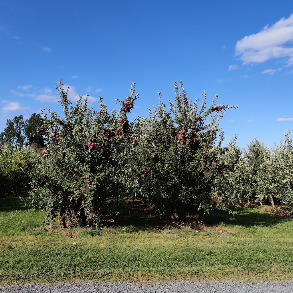 Beak & Skiff Cider Mill | 2708 Lords Hill Rd, Marietta, NY 13110, USA | Phone: (315) 696-6085