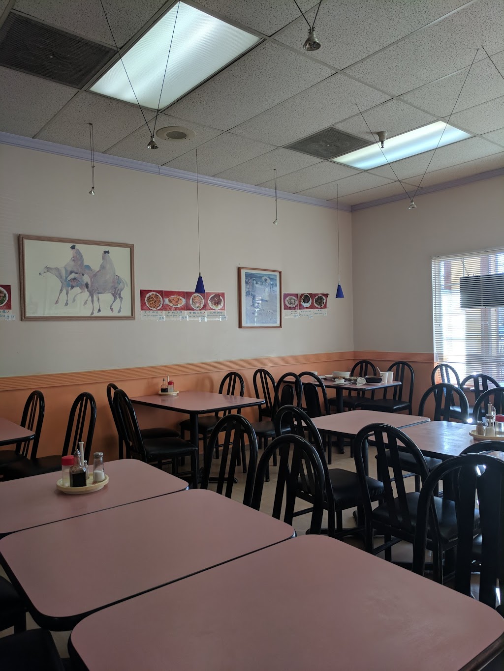 Shanghai Town | 1260 Lake Blvd # 111, Davis, CA 95616, USA | Phone: (530) 758-4663