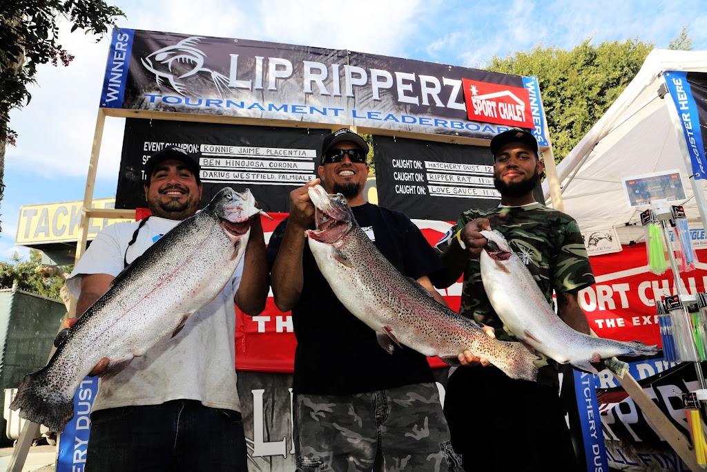 Lip RipperZ Inc | 4780 Chino Ave, Chino, CA 91710, USA | Phone: (909) 999-8201