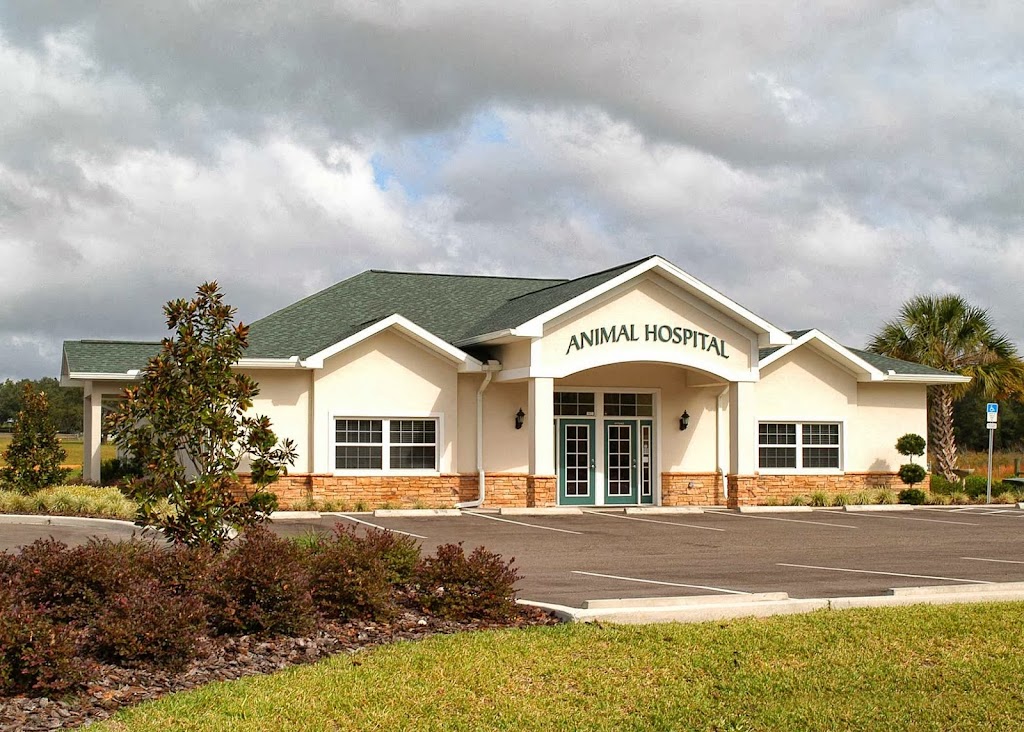 San Antonio Animal Hospital | 32347 State Rd 52, San Antonio, FL 33576, USA | Phone: (352) 588-2132