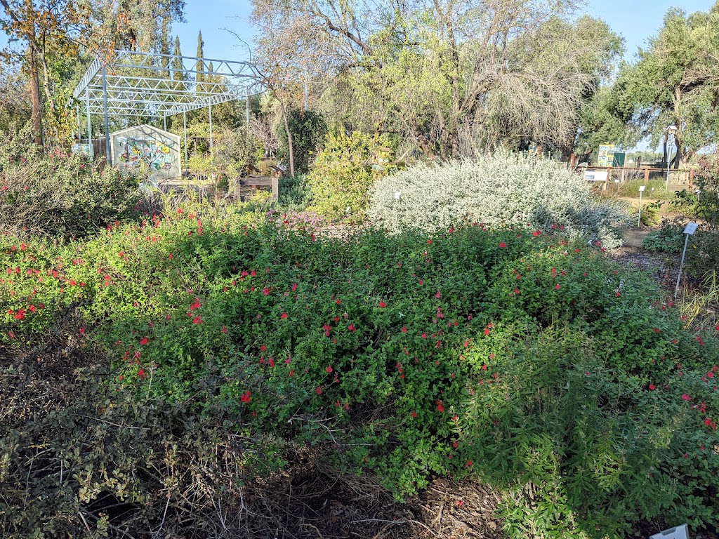 UC Davis Bee Haven | Bee Biology Rd, Davis, CA 95616, USA | Phone: (530) 867-9429