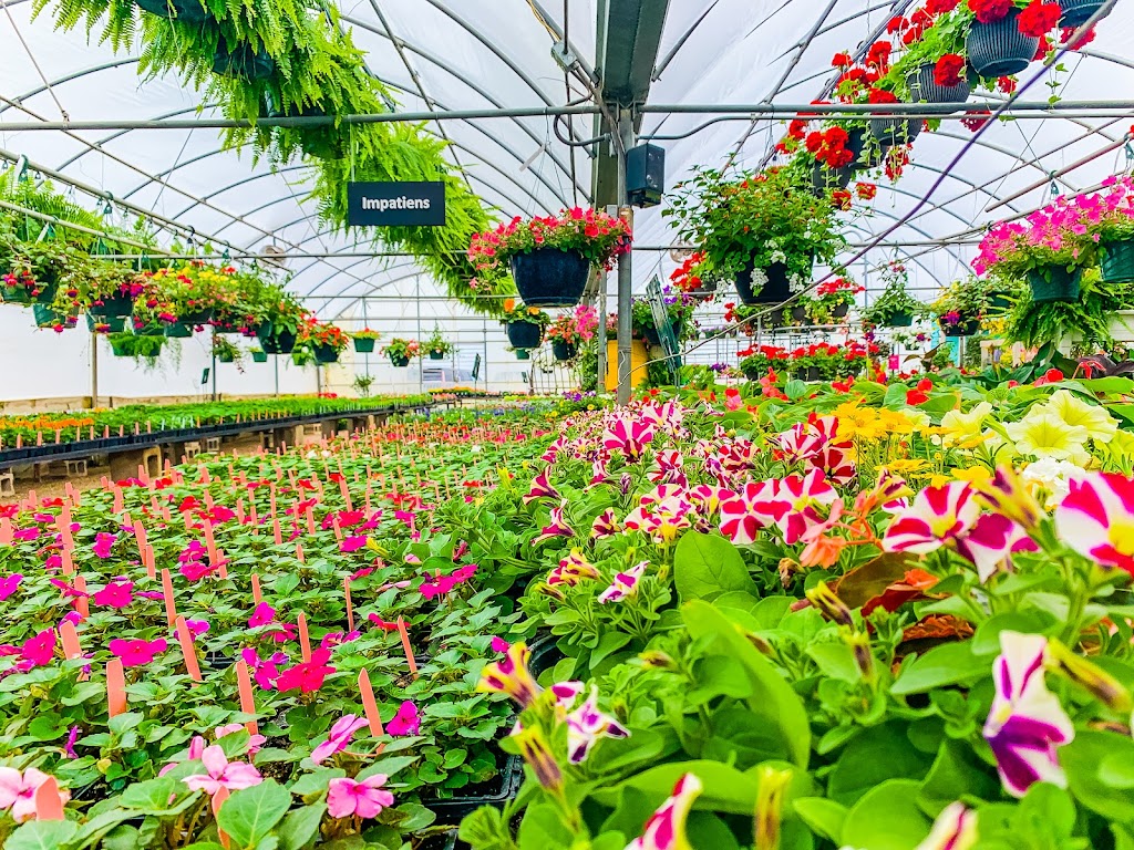 Patchwork Gardens | 2999 U.S. 35 SE, Washington Ct Hs, OH 43160, USA | Phone: (740) 335-0018 Patchwork Gardens | 2999 U.S. 35 SE, Washington Ct Hs, OH 43160, USA | Phone: (740) 335-0018
