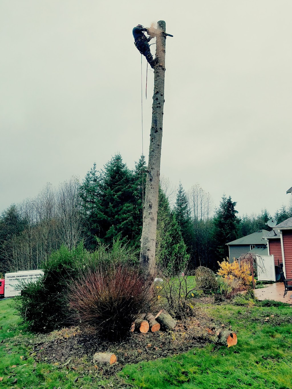 Taylors Snohomish Tree Service | 7717 184th Dr SE, Snohomish, WA 98290, USA | Phone: (425) 903-0559