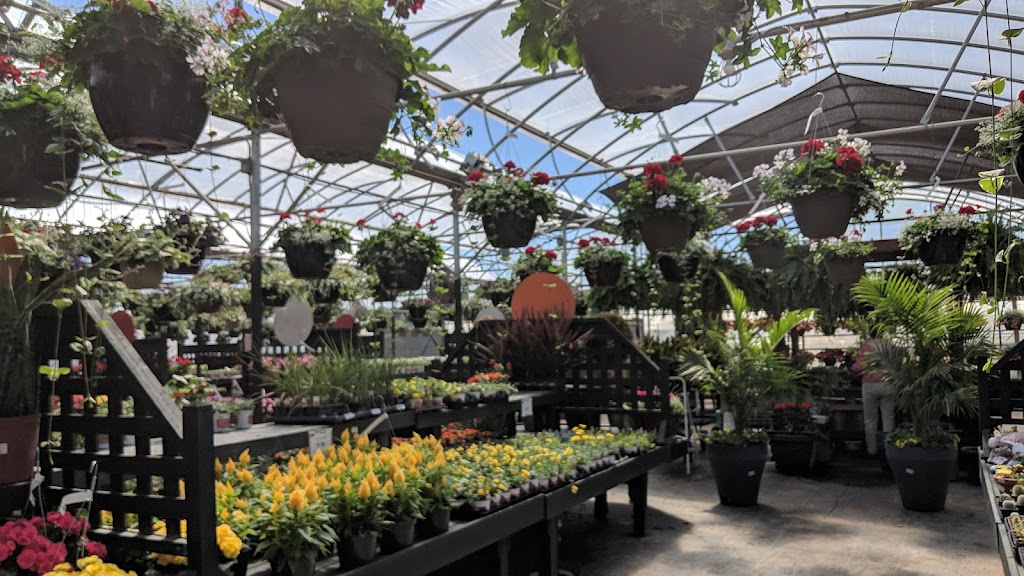 Scheiderer Farms Greenhouse | 13436 OH-38, Marysville, OH 43040, USA | Phone: (937) 642-2093