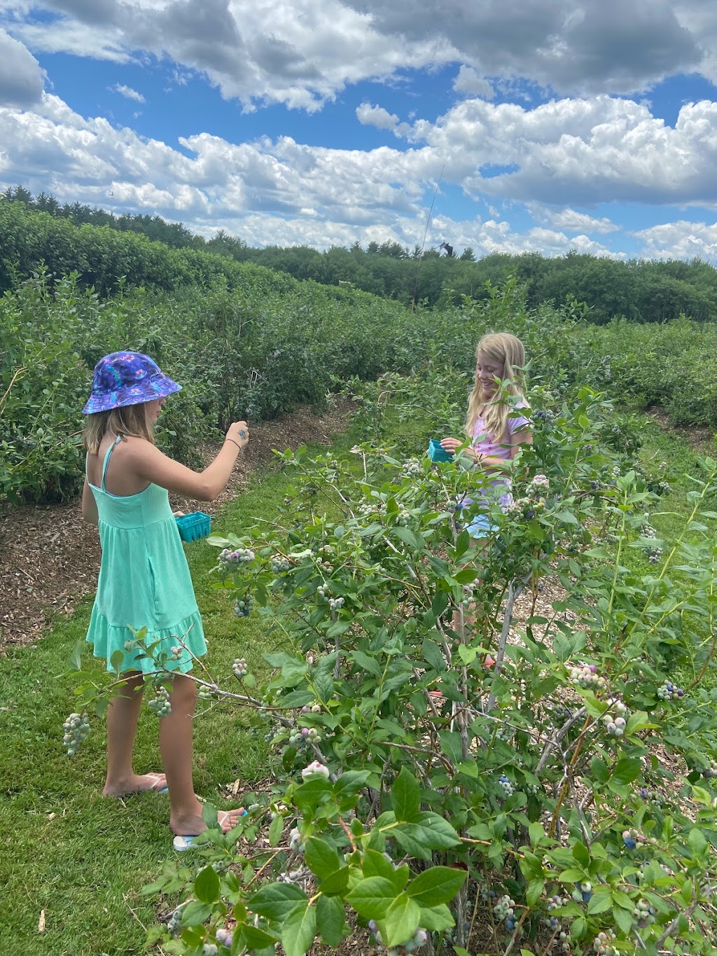 Angela Diatelevi Homes | 10 Union Meadows Rd, Franklin, MA 02038, USA | Phone: (612) 414-5670