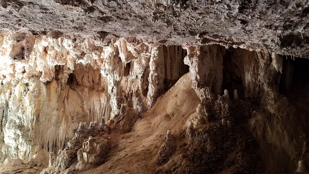 Westcave Outdoor Discovery Center | 24814 Hamilton Pool Rd, Round Mountain, TX 78663, USA | Phone: (830) 825-3442